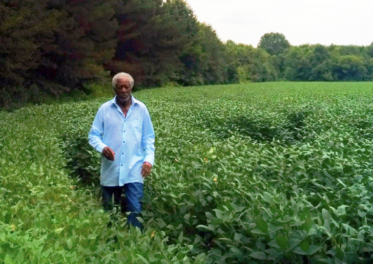 Morgan Freeman Destroyed His Multi-Million Dollar Ranch, This Is Why_6