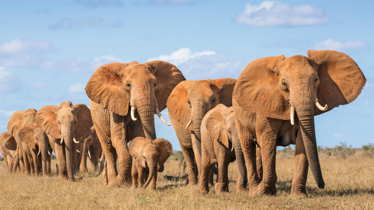 The Most Beautiful Wildlife Photos Ever Taken_16