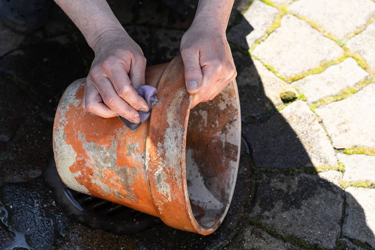 10 Bleach Hacks You Wish You Knew Earlier_3