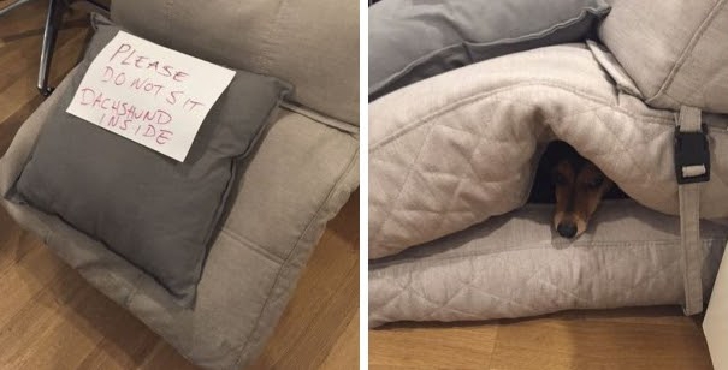 25 Office Photos That Are Too Hilarious To Miss_8