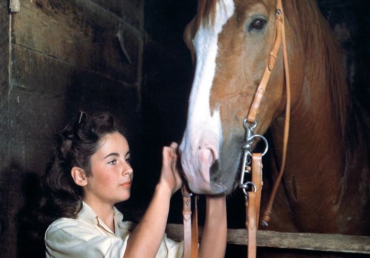 31 Rare Photos Of Elizabeth Taylor Through The Years_3