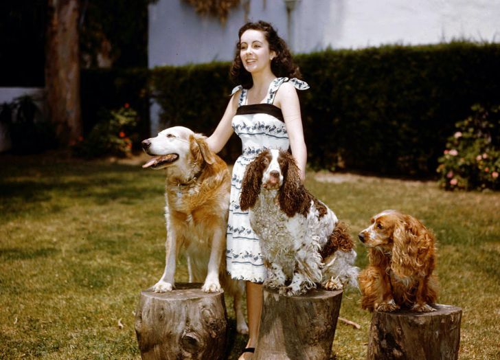 31 Rare Photos Of Elizabeth Taylor Through The Years_4