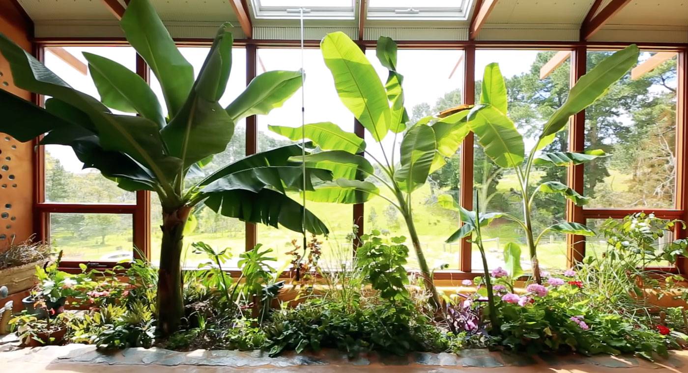 peek-inside-this-artist-couple-s-self-sufficient-dream-home-in-australia-6