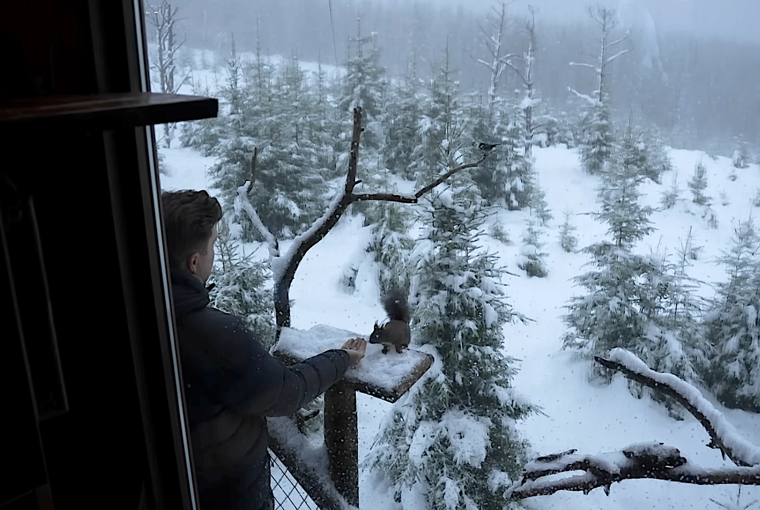 tour-this-300-sq-ft-rotating-treehouse-in-a-snowy-winter-forest-4