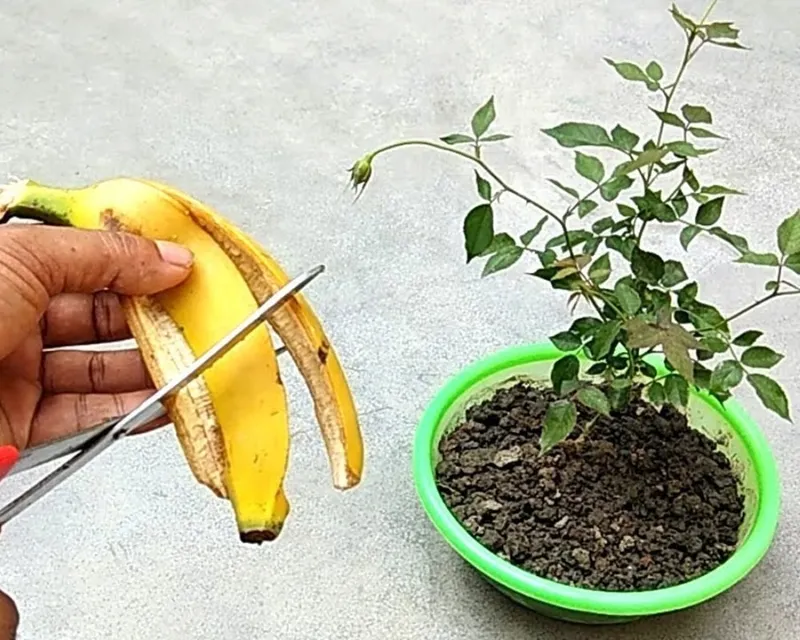 Women, Ditch Hassles! 15 Smart Solutions For Common Household Problems_4