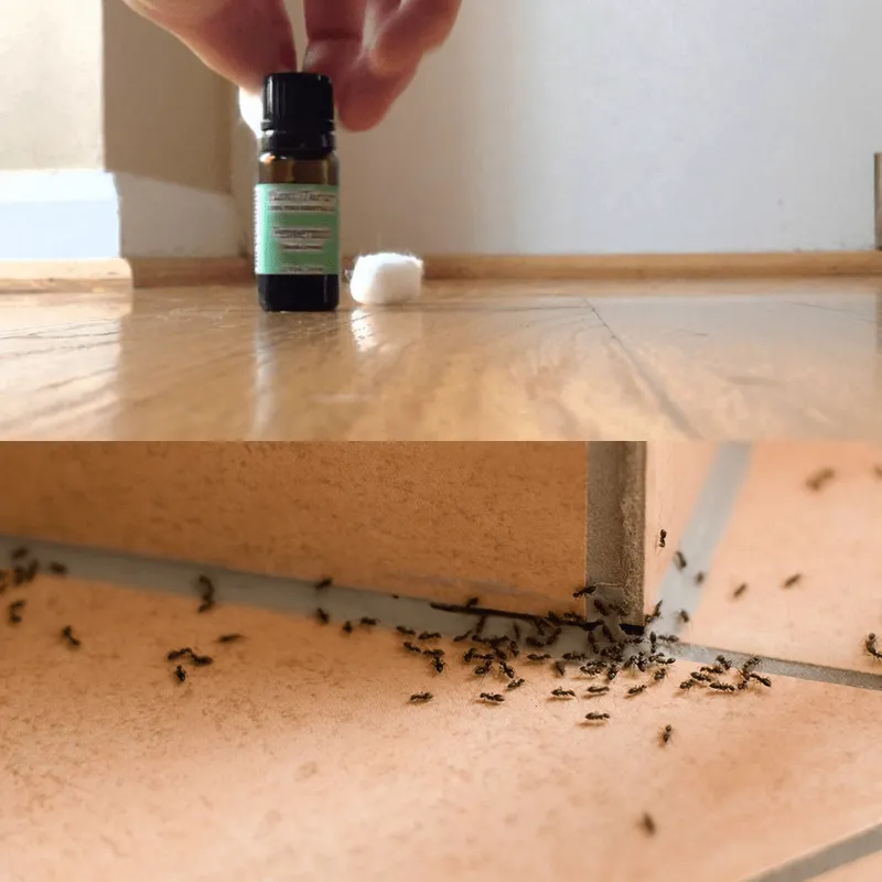 Women, Ditch Hassles! 15 Smart Solutions For Common Household Problems_7